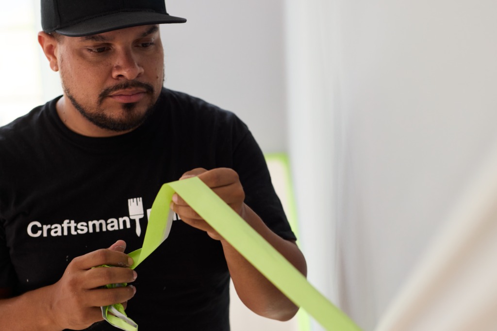 Professional Painter